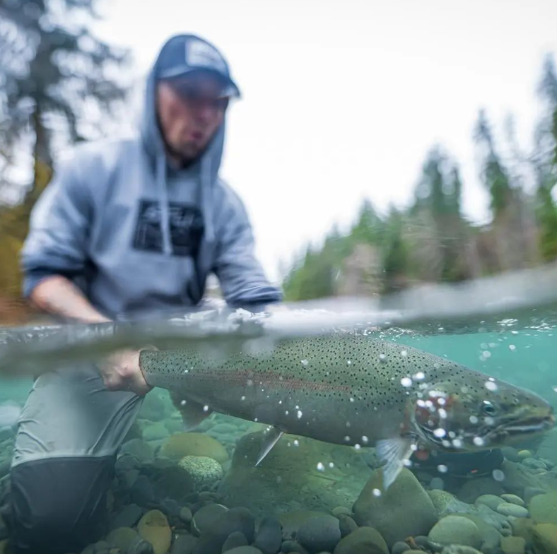 Erfolgreiches Spinnfischen auf Forellen für Anfänger