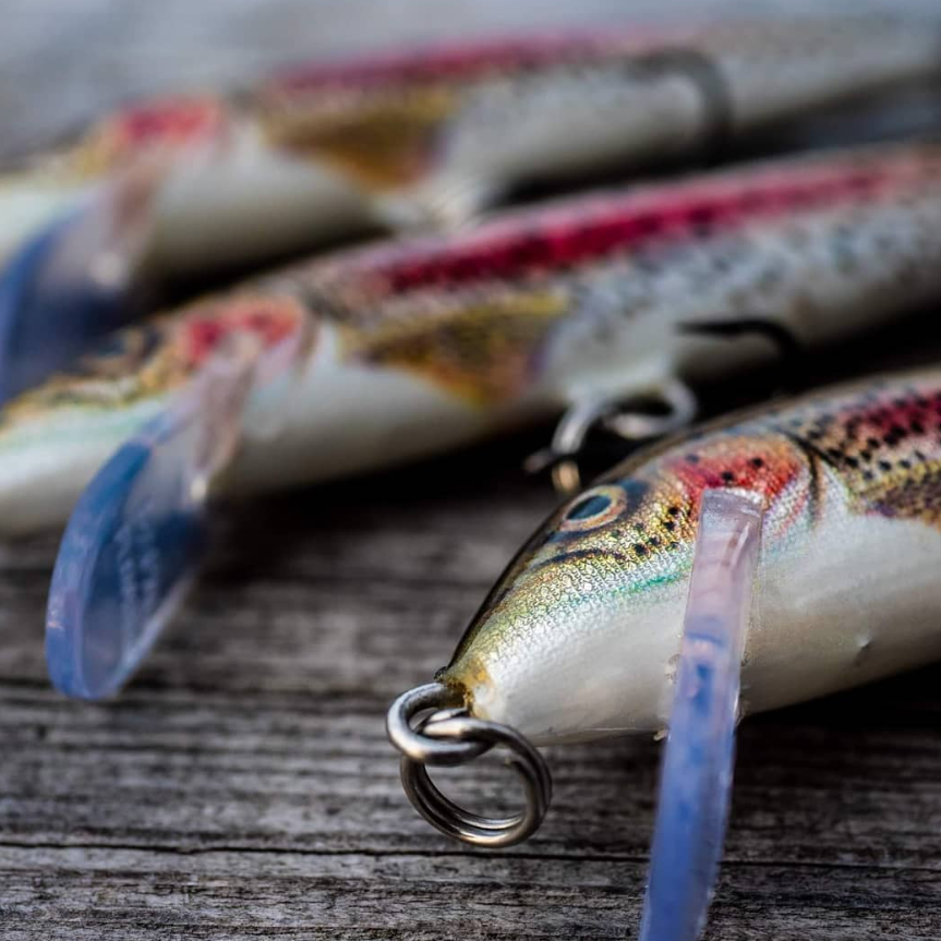 Die Vielseitigkeit des Rapala Original Floating Minnow