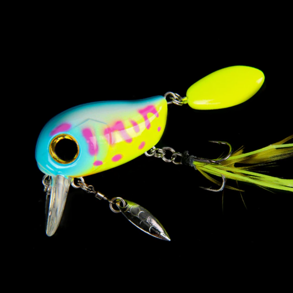 Bug-Eye