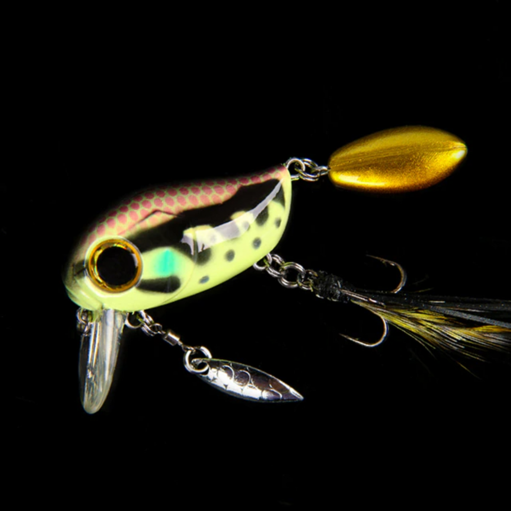 Bug-Eye