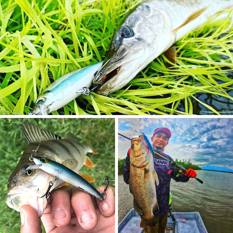 Maverik Crankbait